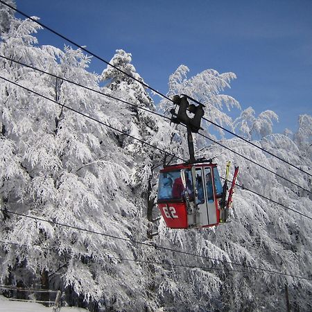 Pohorje Village Wellbeing Resort - Forest Apartments Videc Хочко Погорье Экстерьер фото