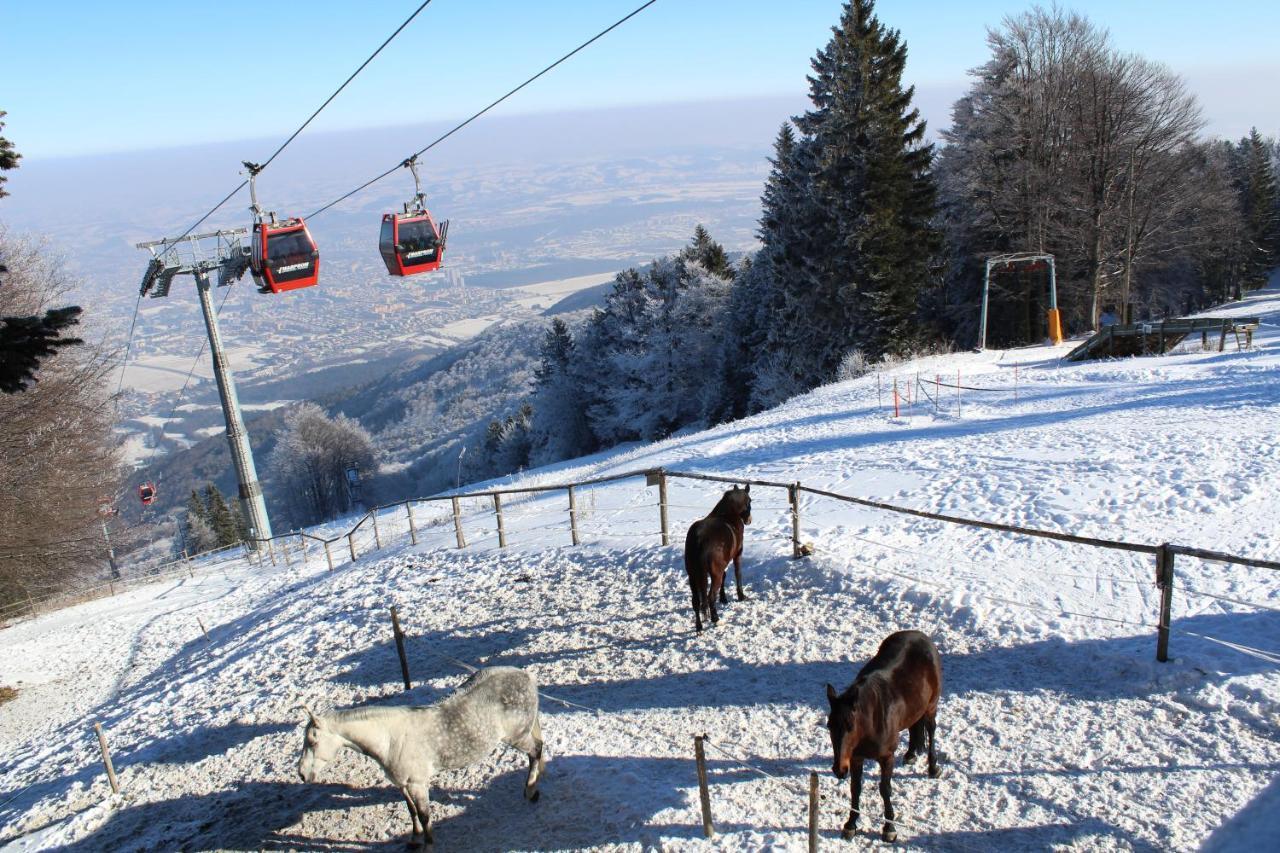 Pohorje Village Wellbeing Resort - Forest Apartments Videc Хочко Погорье Экстерьер фото