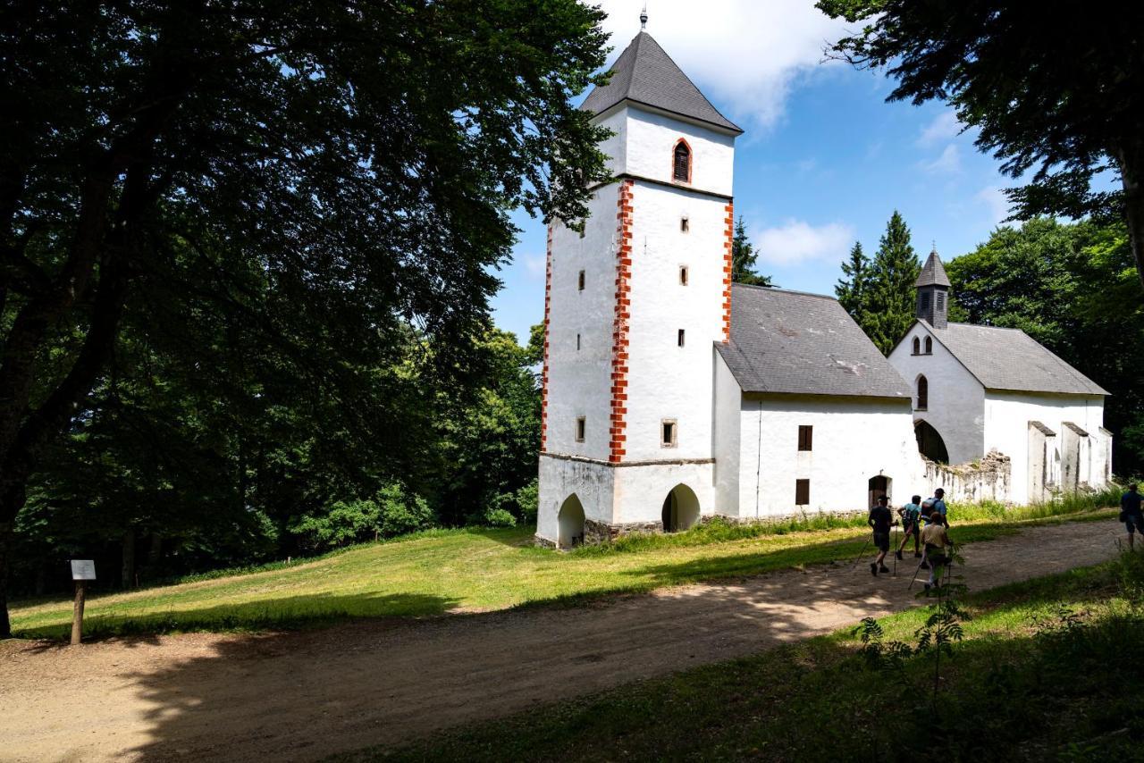 Pohorje Village Wellbeing Resort - Forest Apartments Videc Хочко Погорье Экстерьер фото