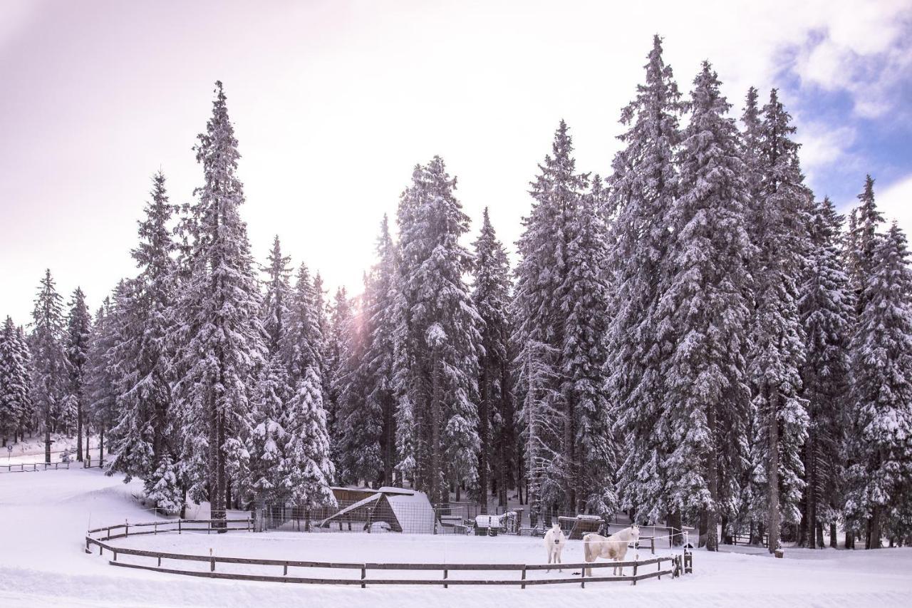 Pohorje Village Wellbeing Resort - Forest Apartments Videc Хочко Погорье Экстерьер фото
